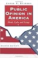 Public Opinion In America: Moods, Cycles, And Swings, Second Edition (Transforming American Politics)