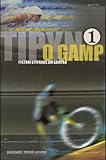 Tipyn o gamp : 6 stori gyffrous am gampau. 2