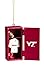 Team Sports America NCAA Team Locker Ornament