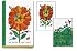 PF57 - Art of Eric Carle Portfolio of Notes