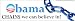 Magnet: Obama CHAINS we can believe in! (Links)