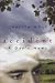 Accident: a Day's News: A Novel (Phoenix Fiction)