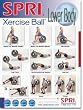 SPRI Lower Body Xercise Ball Wall Chart