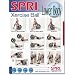 SPRI Lower Body Xercise Ball Wall Chart