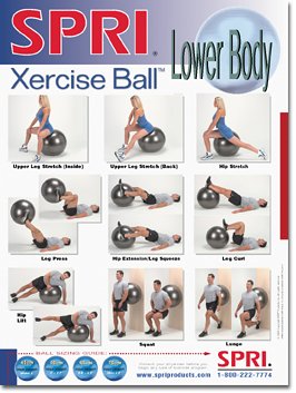 SPRI Lower Body Xercise Ball Wall Chart
