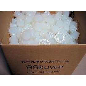 �X�X�v���e�C���[���[ 500�i�N���K�^�A�J�u�g���V�p�����[���[���{���j