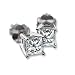 1/2 carat dtw Platinum Certified Princess Cut Diamond Studs