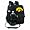 Iowa Hawkeyes