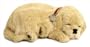 Perfect Petzzz Golden Retreiver Puppy