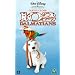 102 Dalmatians (Live Action) [VHS] [2000]