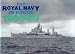The Royal Navy in Focus 1960-69