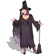 Mystic Witch Plus Adult Costume - Adult Costumes