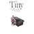 Tiny Essentials of Major Gift Fundraising