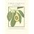 Chez Panisse Vegetables Notecards