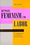 Between Feminism and Labor: The Significance of the Comparable Worth Movement