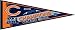 Chicago Bears 2006 NFC Champions Pennant