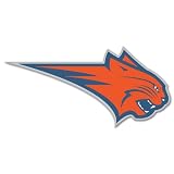 Charlotte Bobcats NBA Basketball car sticker 6" x 3"