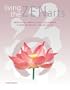 Living the Zen Arts: Meditation*Martial Arts*Calligraphy*Flower-Arranging*The Art of Tea