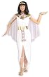 Adult Cleopatra Costume - Adult Std.