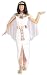 Adult Cleopatra Costume - Adult Std.