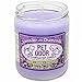 Pet Odor Exterminator Candle, Lavender with Chamomile,13 oz