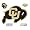 Colorado Buffaloes