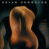 Image of album by Brian Bromberg