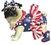 Pugnacious Patriotic Pug Figurine