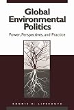 Global Environmental Politics: Power, Perspectives, and Practice