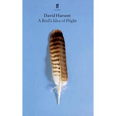 A Bird's Idea of Flight