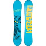 Stepchild Snowboards Corporate Snowboard