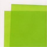 Wyn Colored Vellum Kiwi 19x25