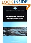 The International Protection of Internally Displaced Persons (Cambridge Studies in International and Comparative Law)