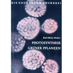Photosynthese gr�ner Pflanzen