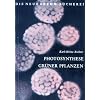 Photosynthese gr�ner Pflanzen