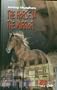 The Horse in the Mirror