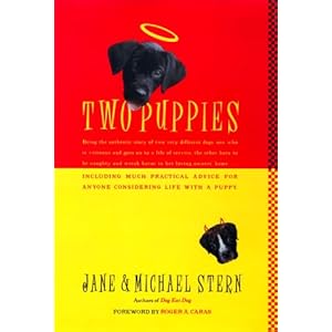 Two Puppies: Being the Authentic Story of Two Very Different Young Dogs, One Who Is Virtuous and Goes on to a Life of Service, the Other Born to Be Naughty...... Jane Stern and Michael Stern