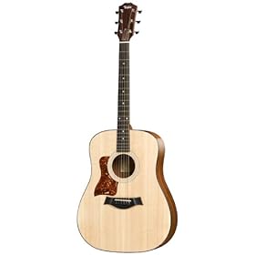 Taylor Guitars 110
