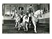 Spanish Riding School Premium Giclee Poster Print, 18x24