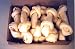 10 pcs of 8