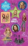 Disney Hannah Montana Stickers - 2 pack decorative Adhesive Stickers / Autocollants