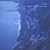 Substrata Vol.2