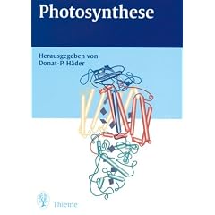 Photosynthese