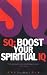 SQ: Boost Your Spiritual IQ