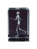 3B Scientific MedArt Glass Blocks Skeleton