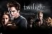 Twilight Movie (Group, What Do You Live For?) Poster Print - 24" X 36"