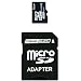 Dane-Elec 8 GB Class 4 microSDHC Flash Memory Card with SD Adapter DA-2IN1-08G-R