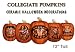 Resin Collegiate Pumpkins 12.5" (Large)