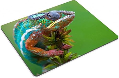 Chameleon Branch lizard nature macro Mouse Pads Customized Made to Order Support Ready 9 7/8 Inch (250mm) X 7 7/8 Inch (200mm) X 1/16 Inch (2mm) High Quality Eco Friendly Cloth with Neoprene Rubber Liil Mouse Pad Desktop Mousepad Laptop Mousepads Comfortable Computer Mouse Mat Cute Gaming Mouse pad
