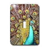 Birds - Colorful Peacock - Light Switch Covers - single toggle switch